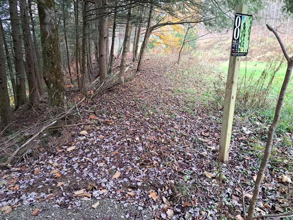 Hole 8 Long