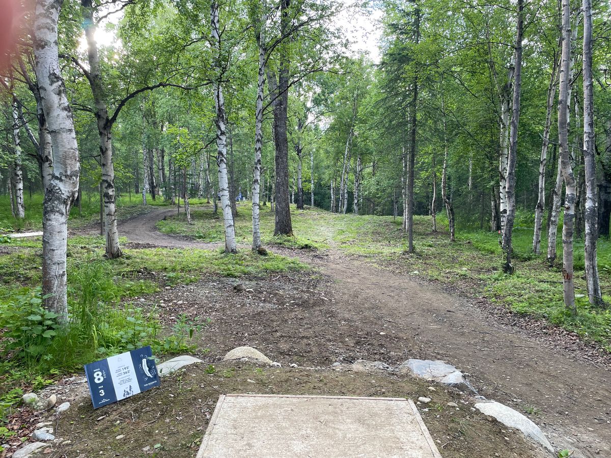 Hole 8 long pad, blind basket dead straight