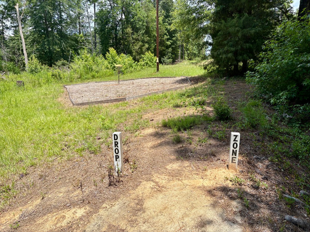 Hole 17 Drop Zone