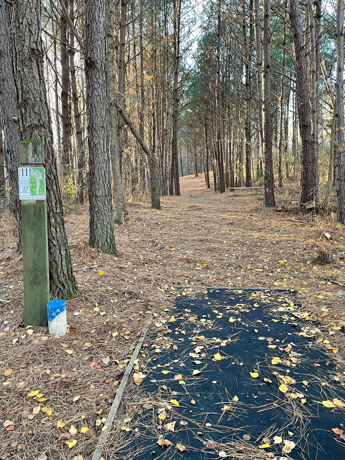 Hole 11 blue tee pad