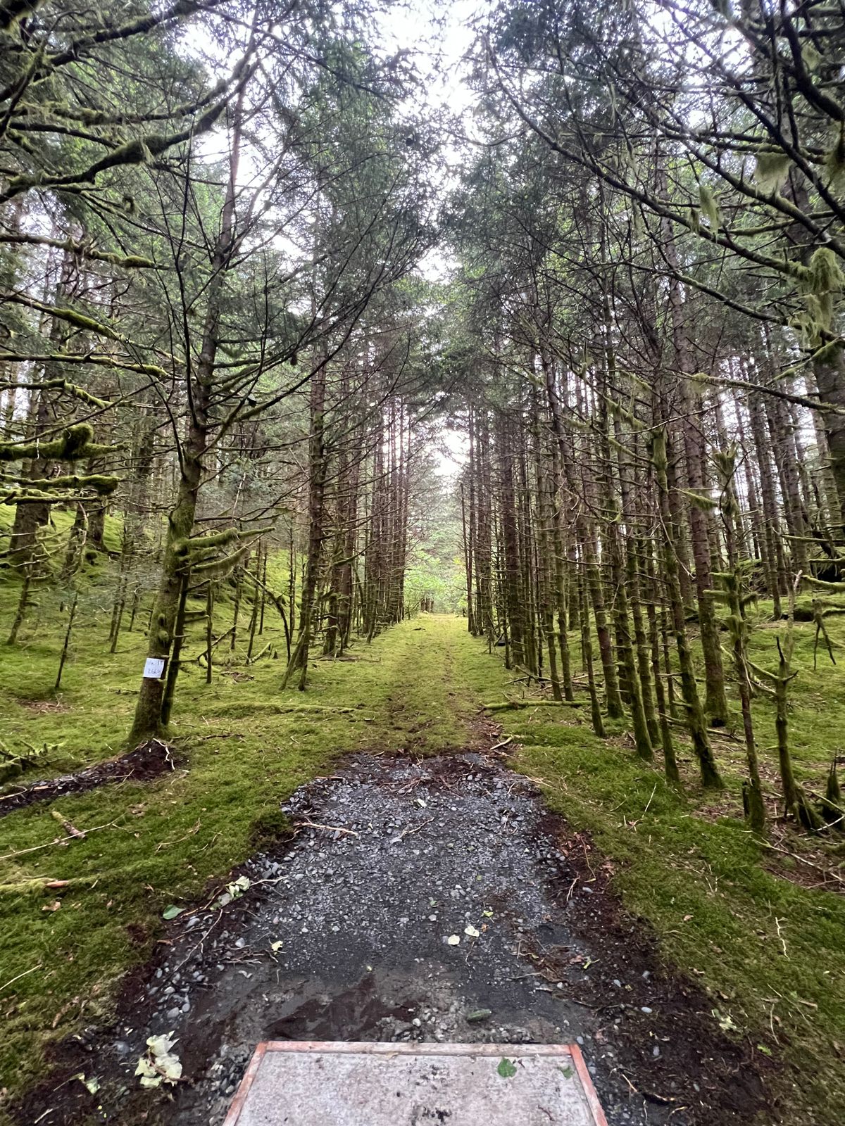Hole 18