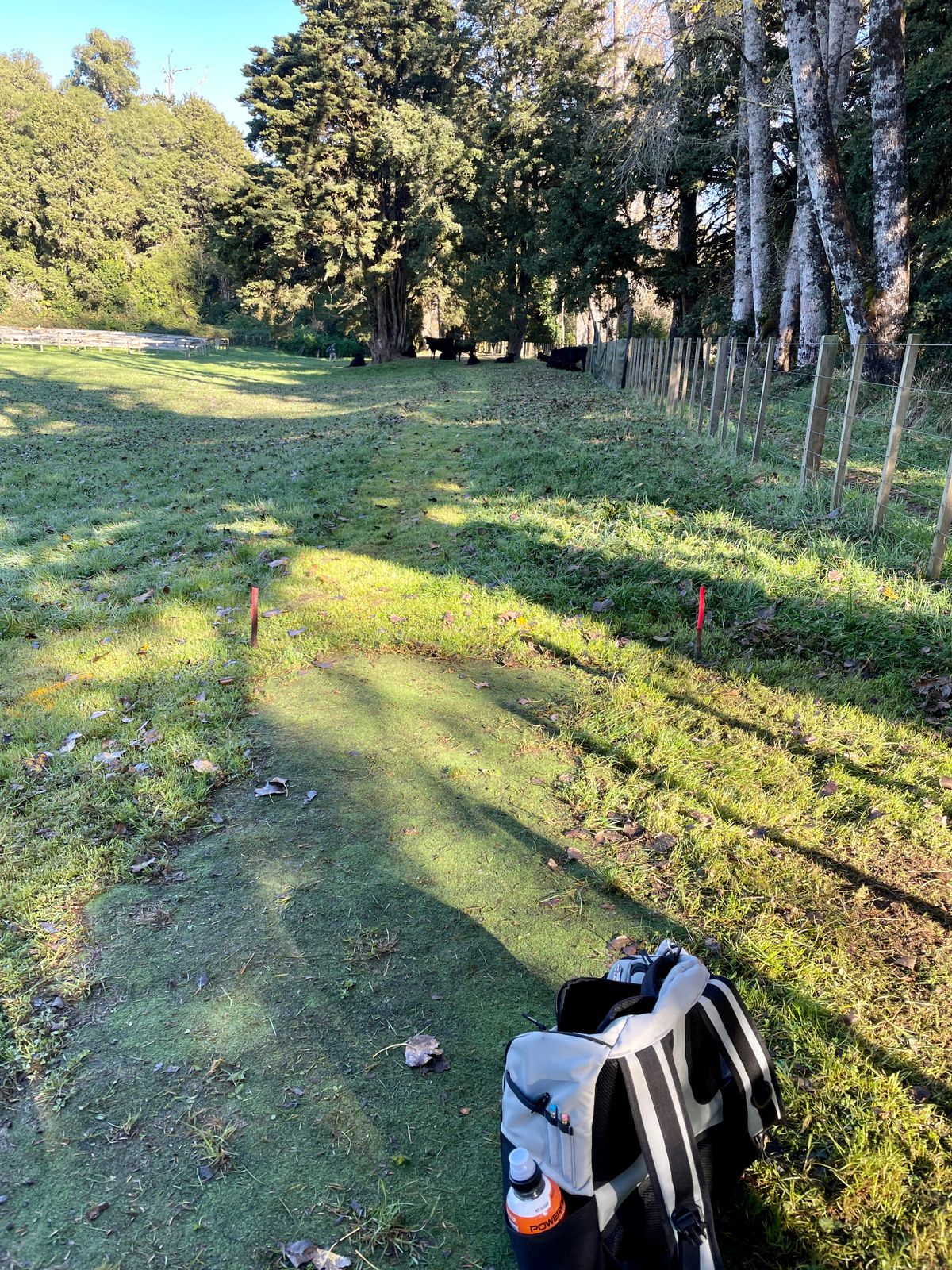 Main - Hole 7 with cattle hazard