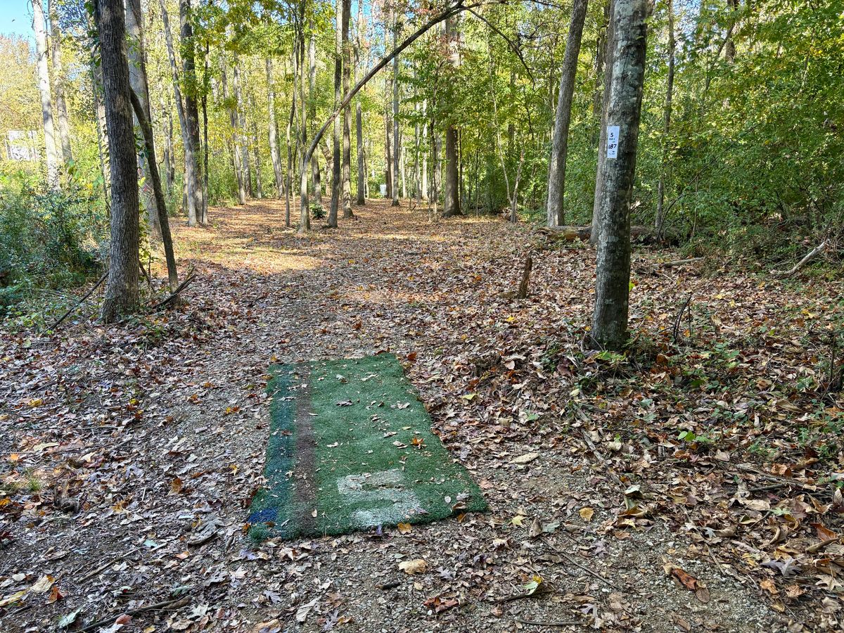 Hole 5 tee