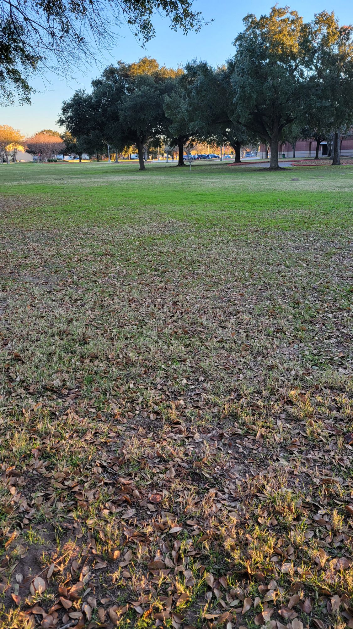 Hole 6