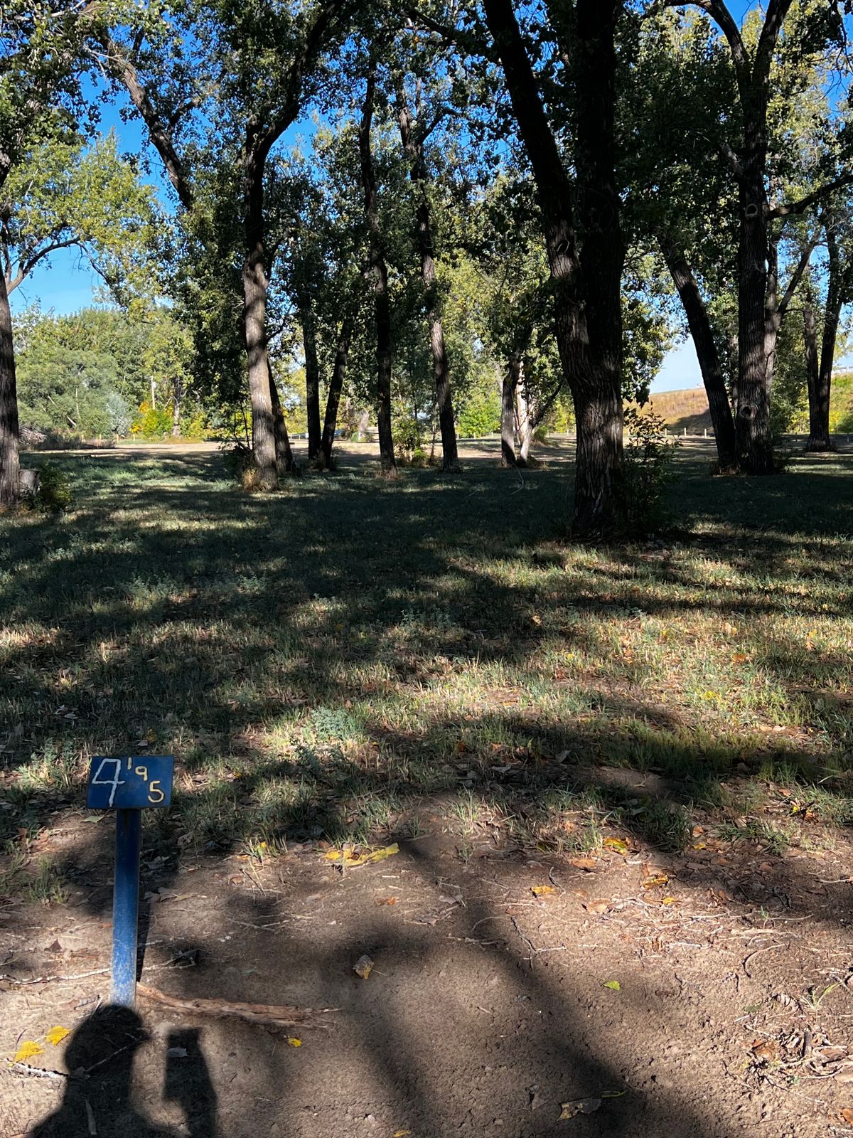 Tee 4