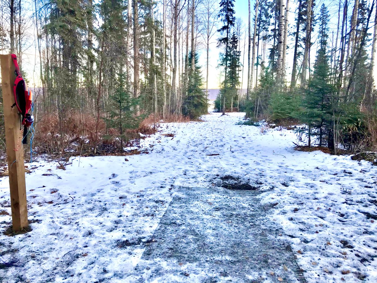 Hole 14 short tee pad