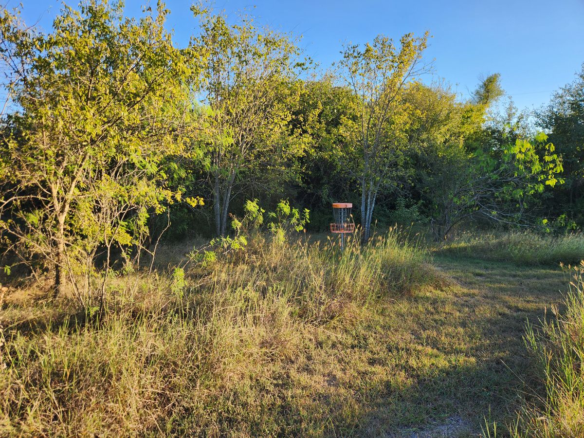 Hole 3 green