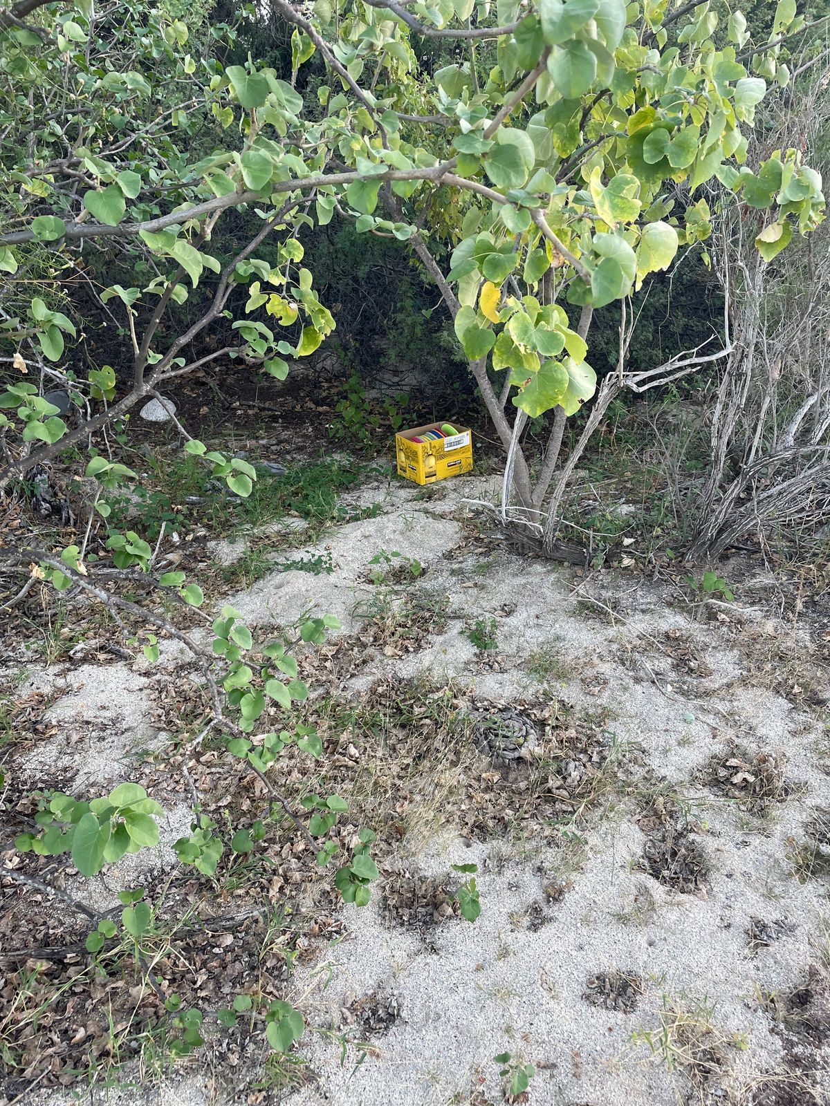 Box of discs for anyone’s use.