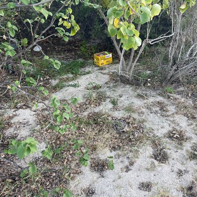 Box of discs for anyone’s use.