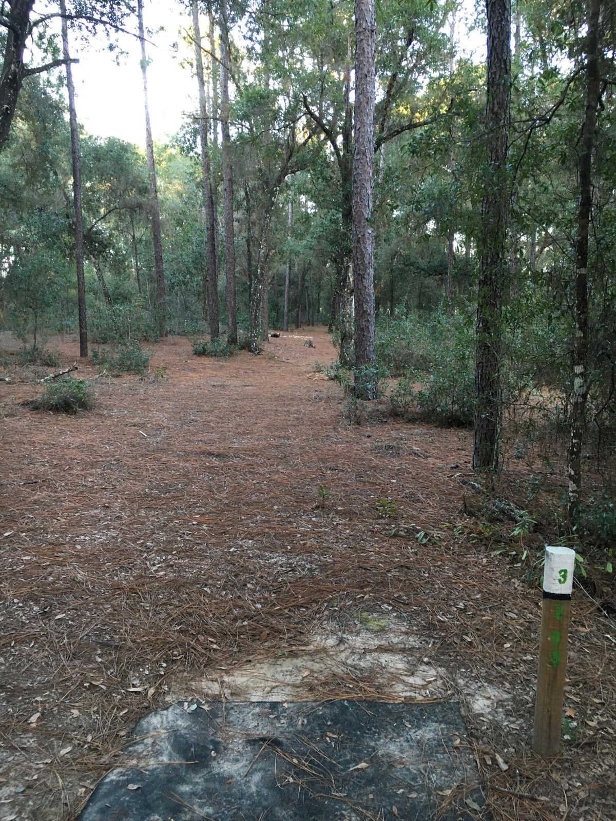 Hole 3     10/31/22