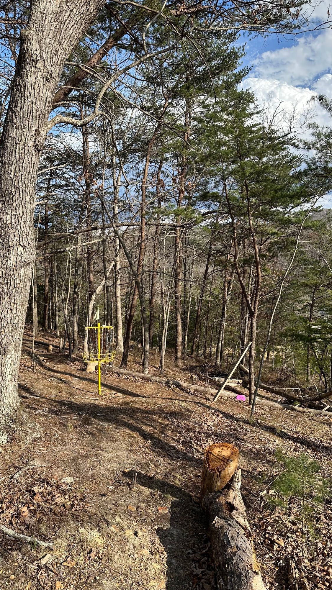 Alternate back 9 / Wilson