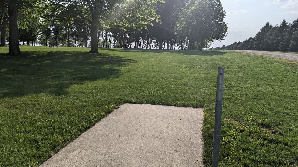 Tee #7
