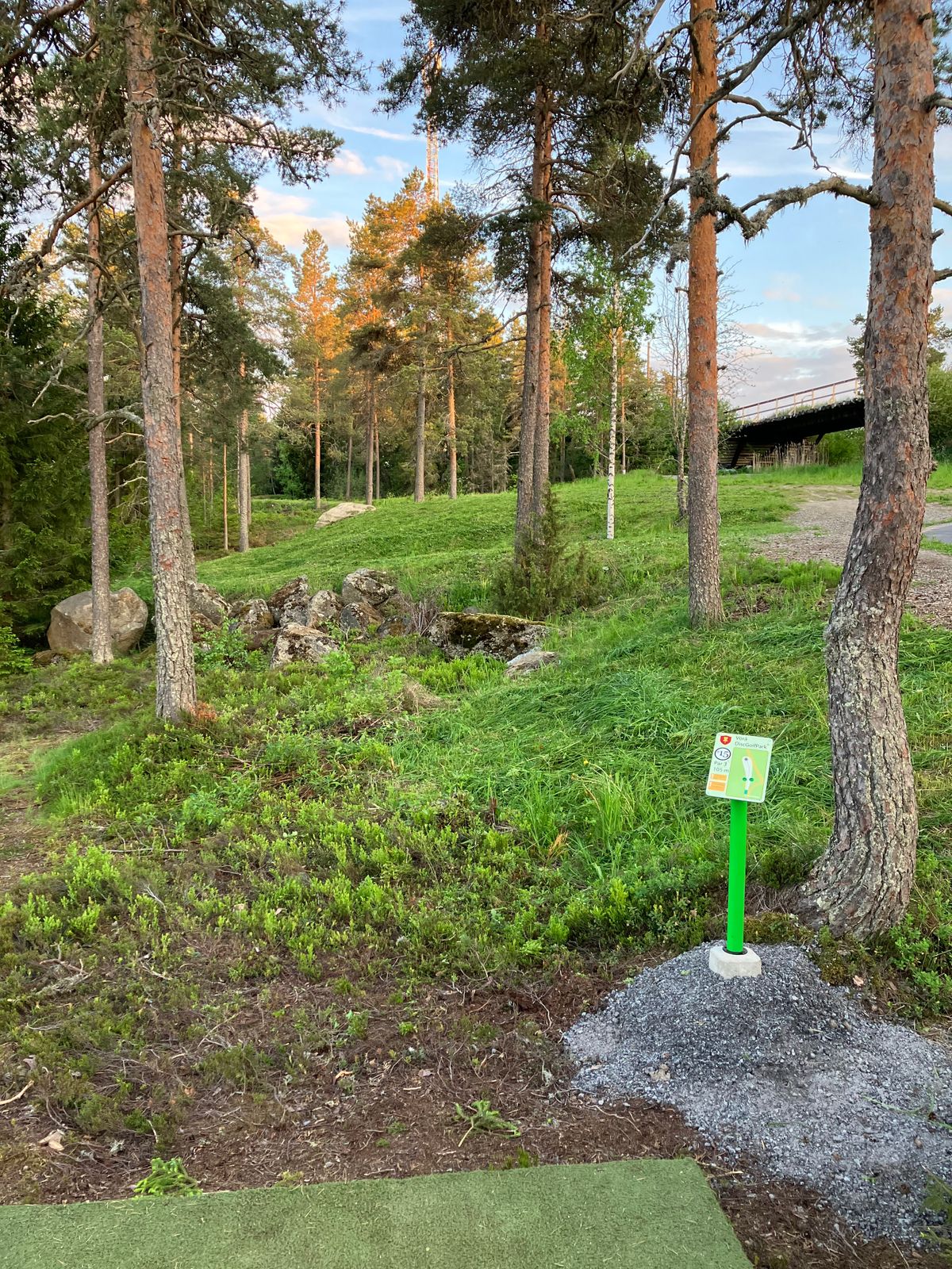 Tee 15