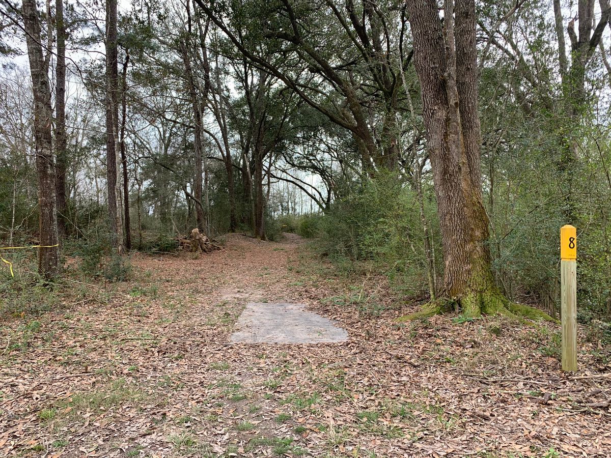 Hole 8 Fairway