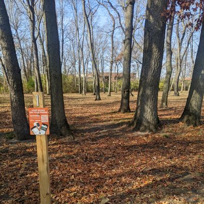 Tee Pad 01