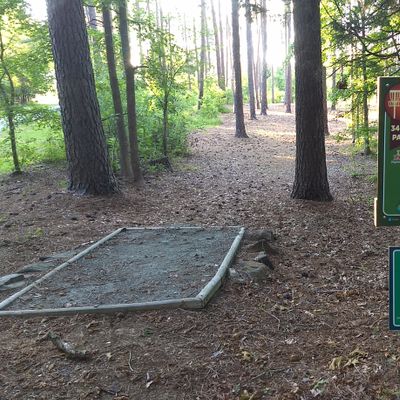 Hole #7. Par 3 - 340. Largely unobstructed, providing the most open fairway on the course. Road left is not labeled as OB, but it should be.