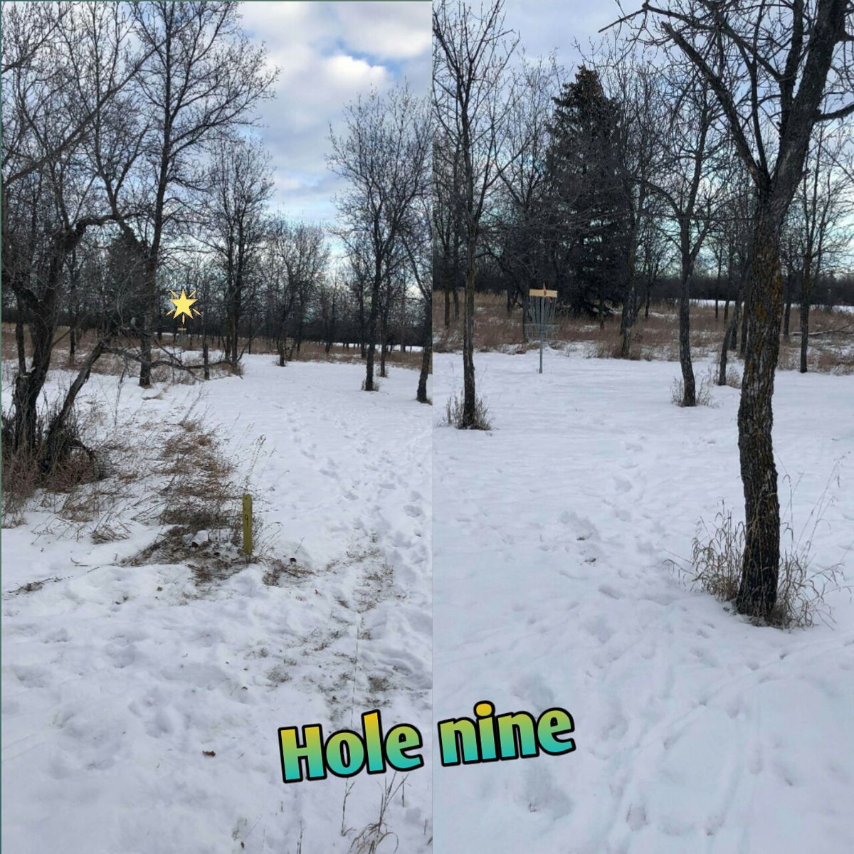Hole 9 . Not too bad just try to miss the trees LOL.