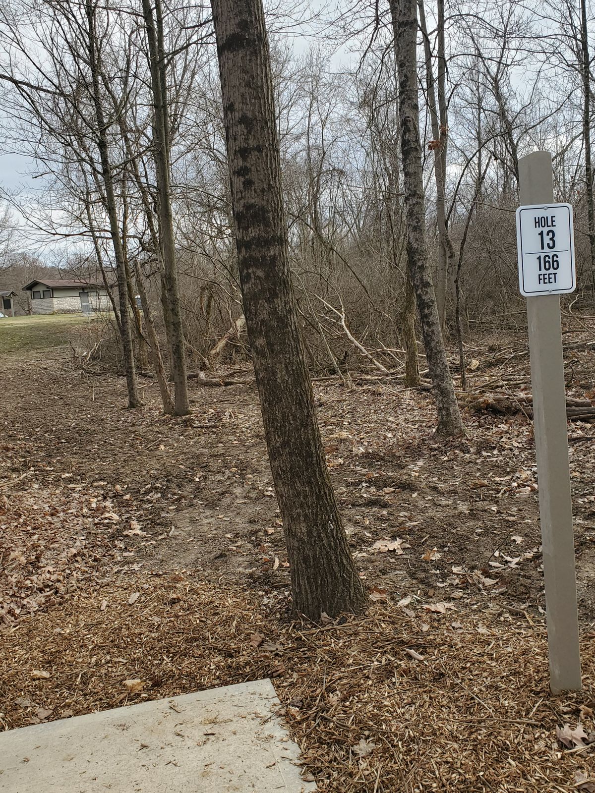 Hole 13 166ft