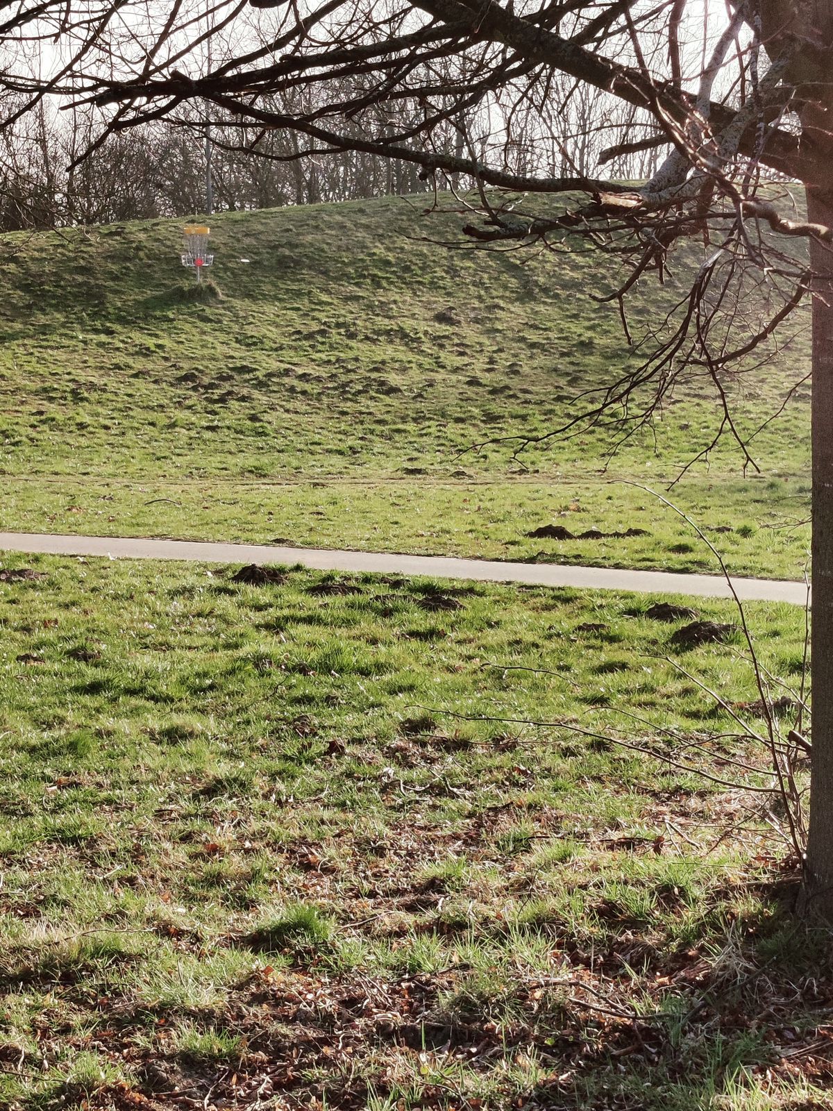 Hole 1