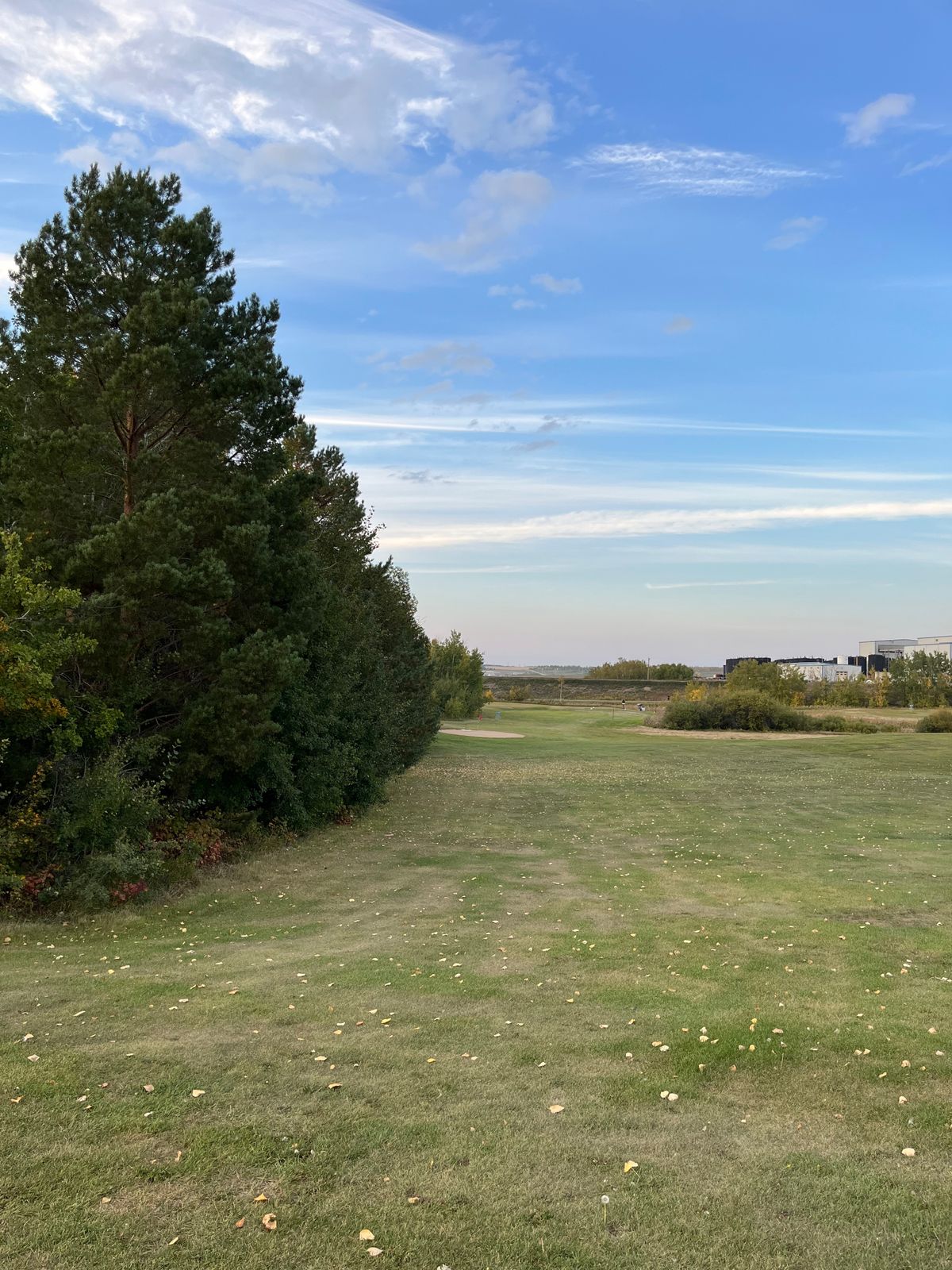 Fairway