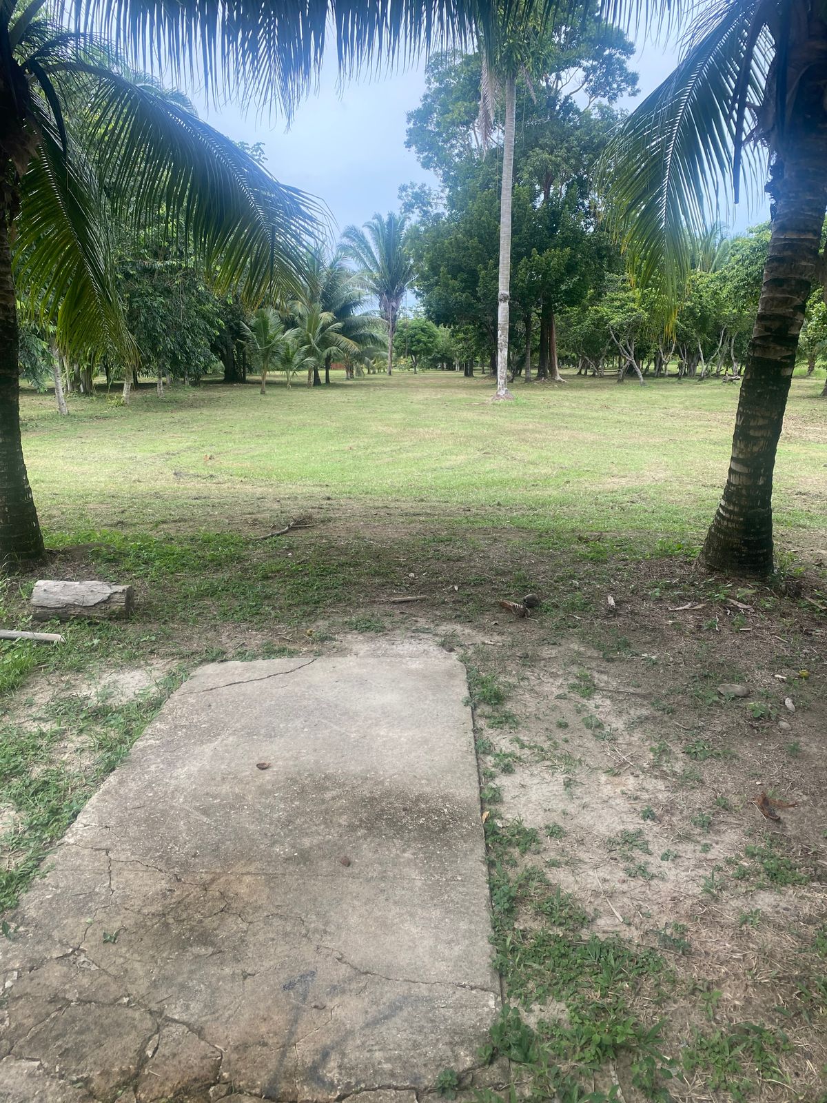 Hole 12