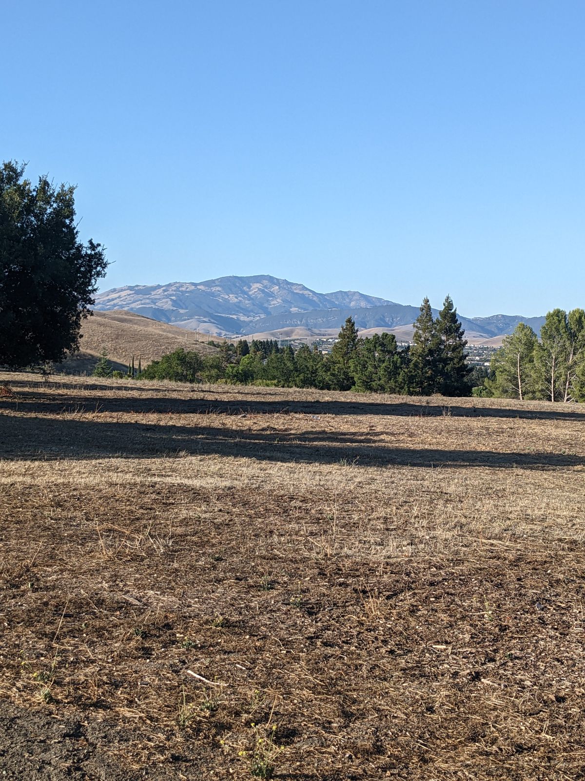 View of Mt. Diablo