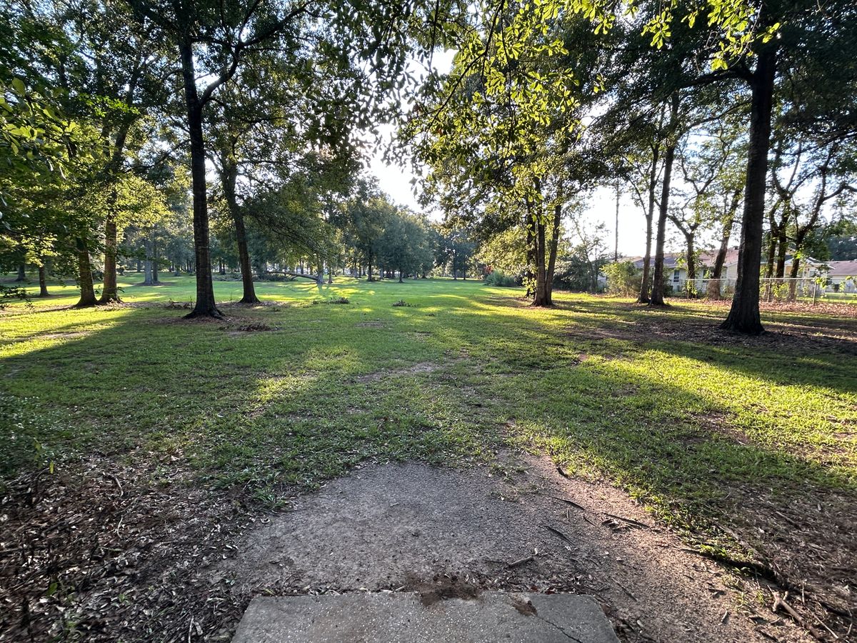 Hole 5 Fairway