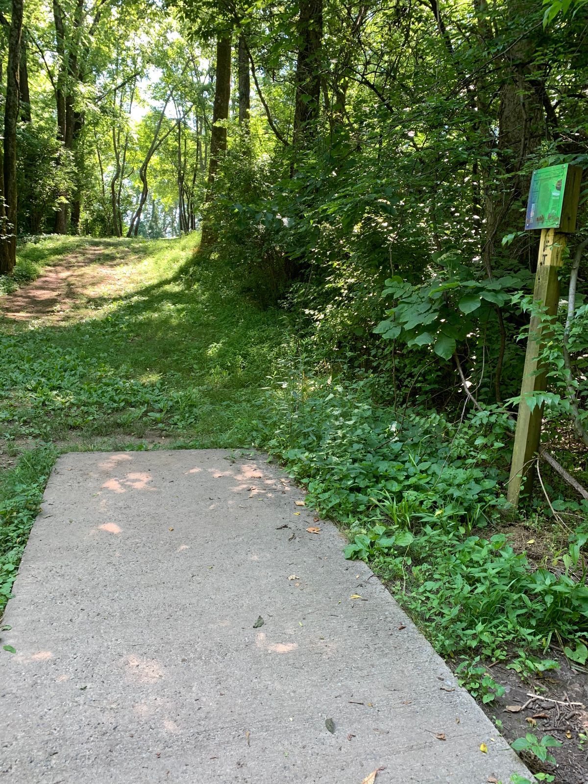 Hole 7