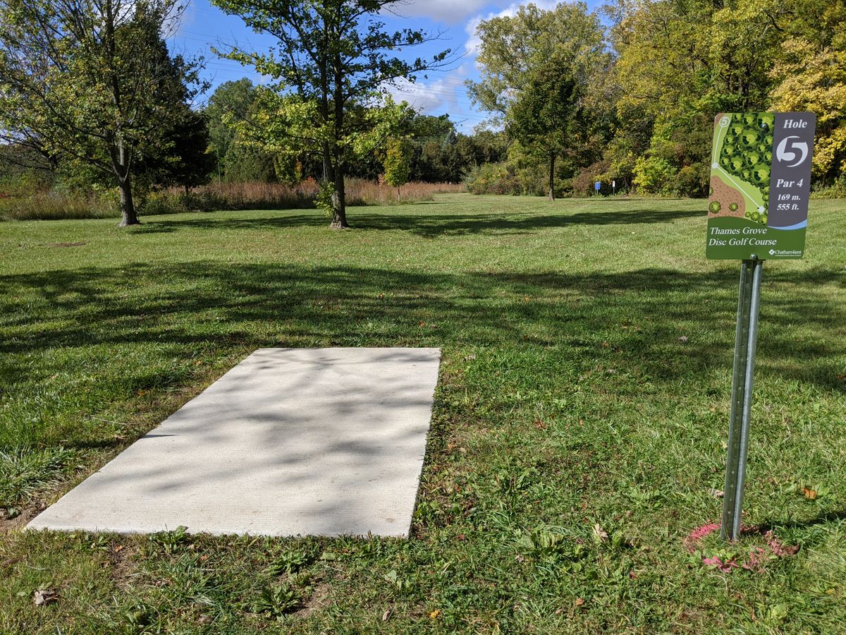 Hole 5 tee