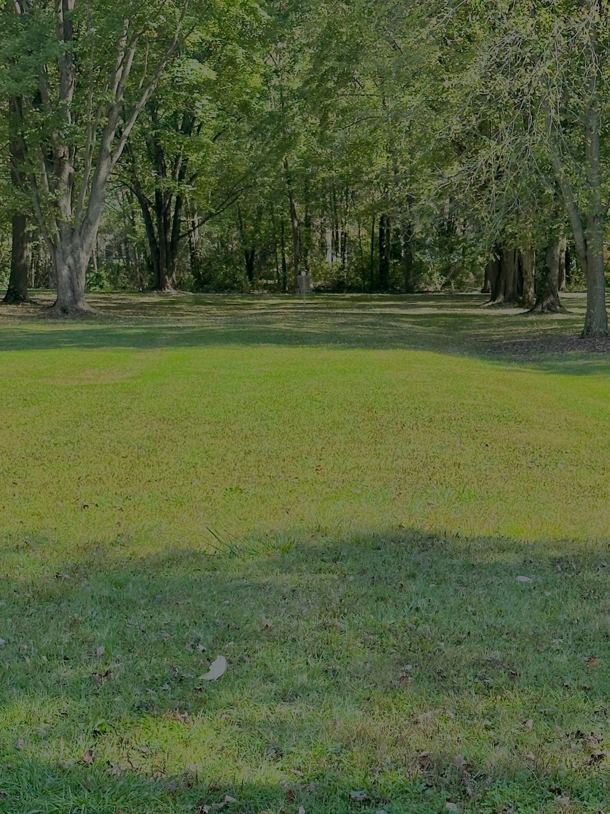 Basket Hole 5