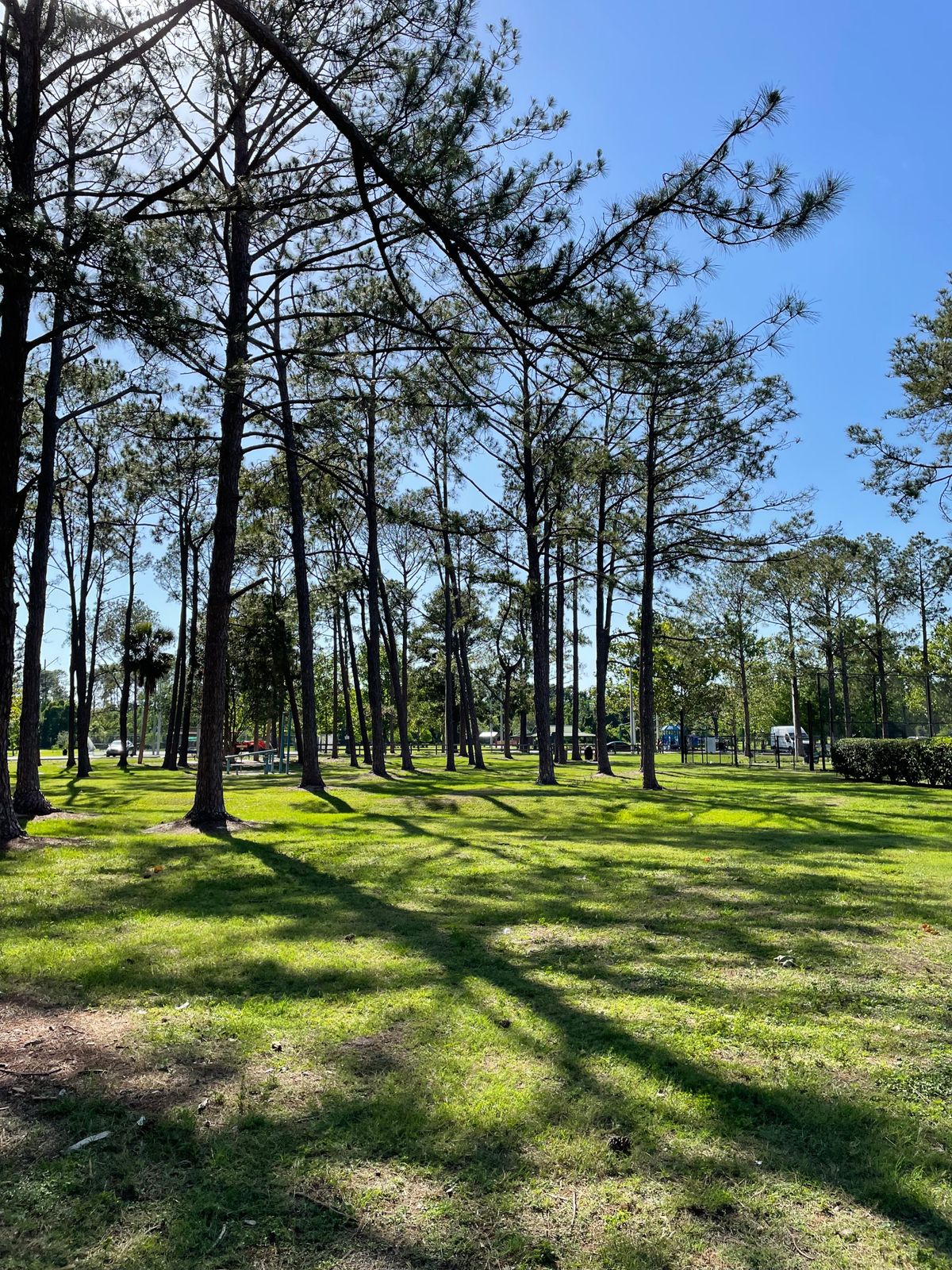 Hole 1