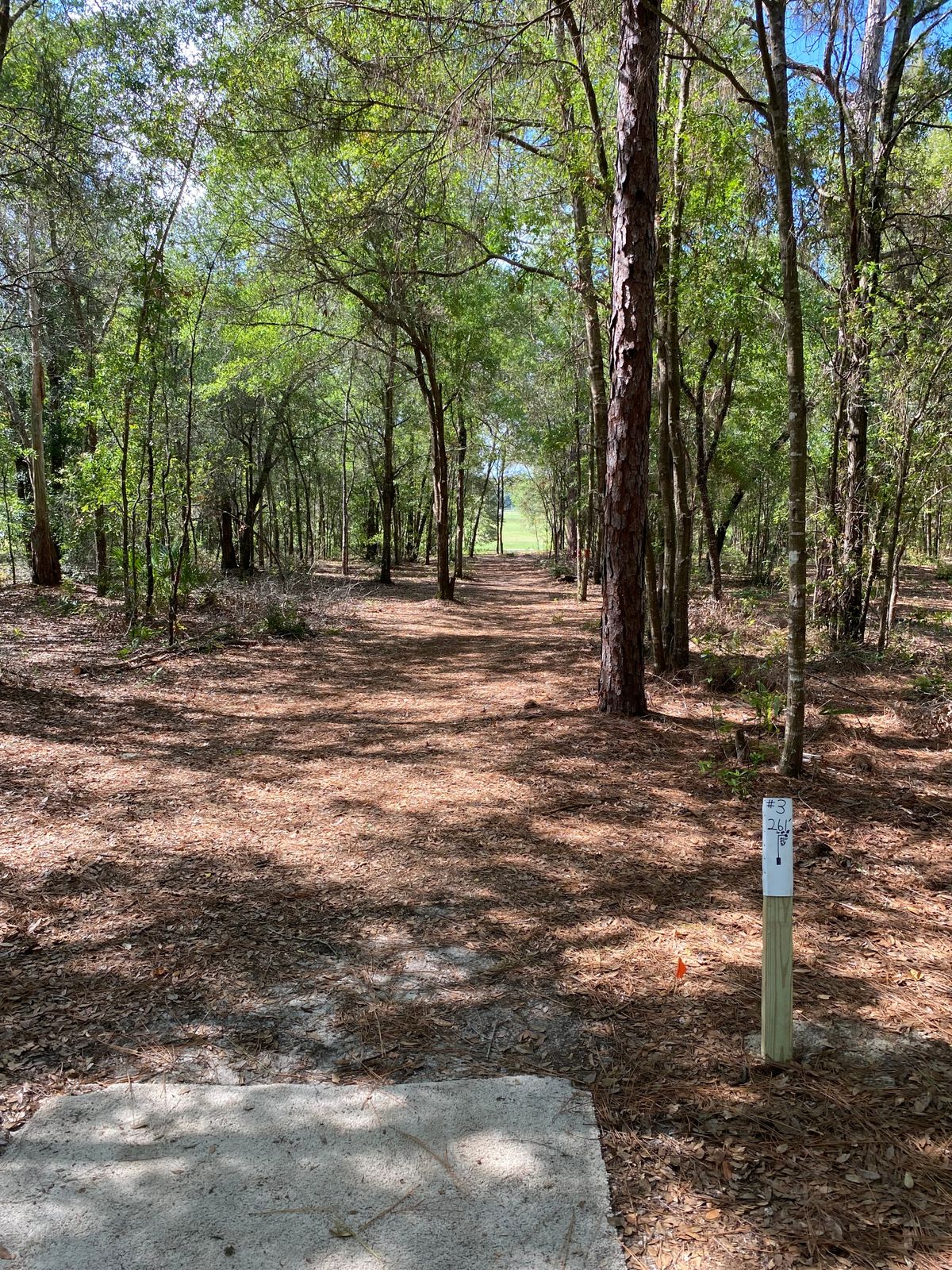 Hole 3 really shaping up
