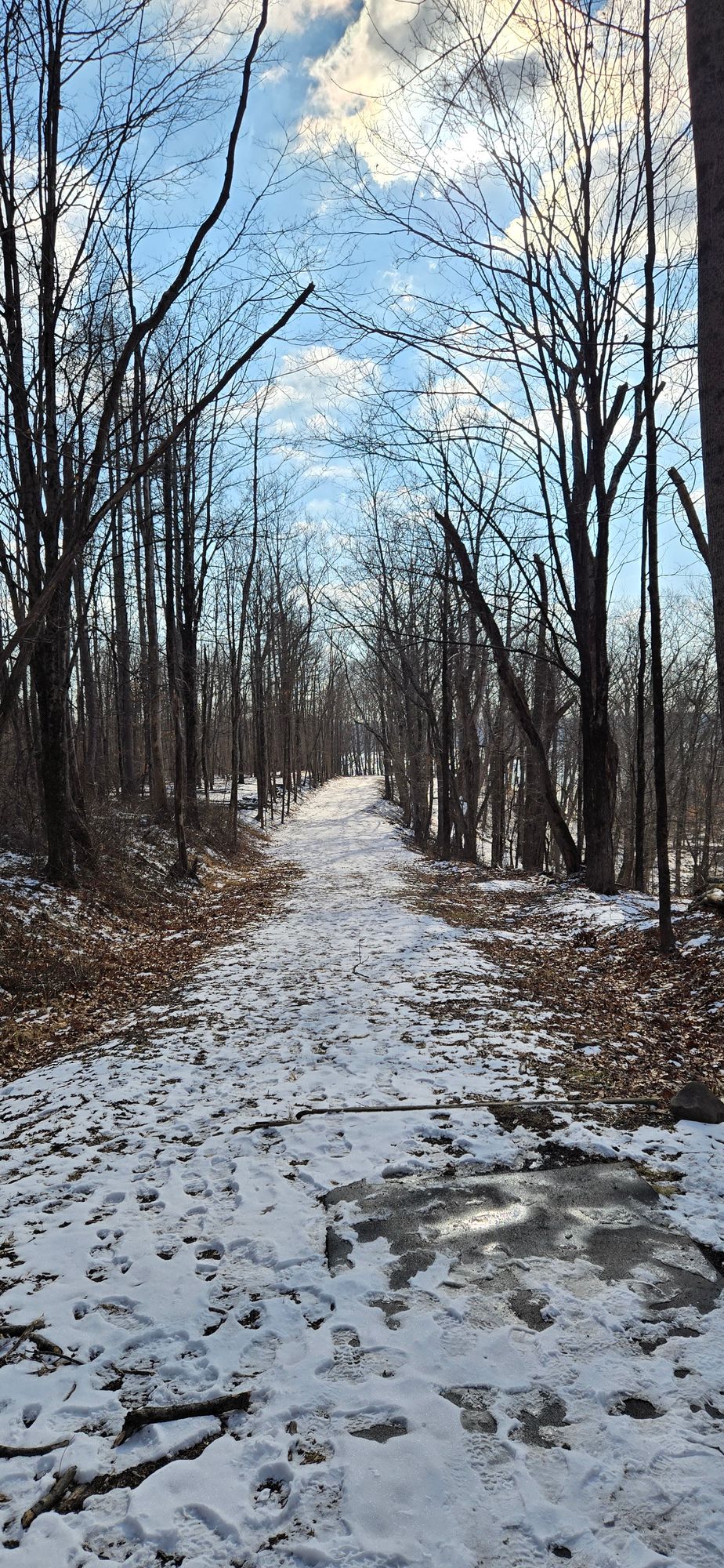 Hole 4