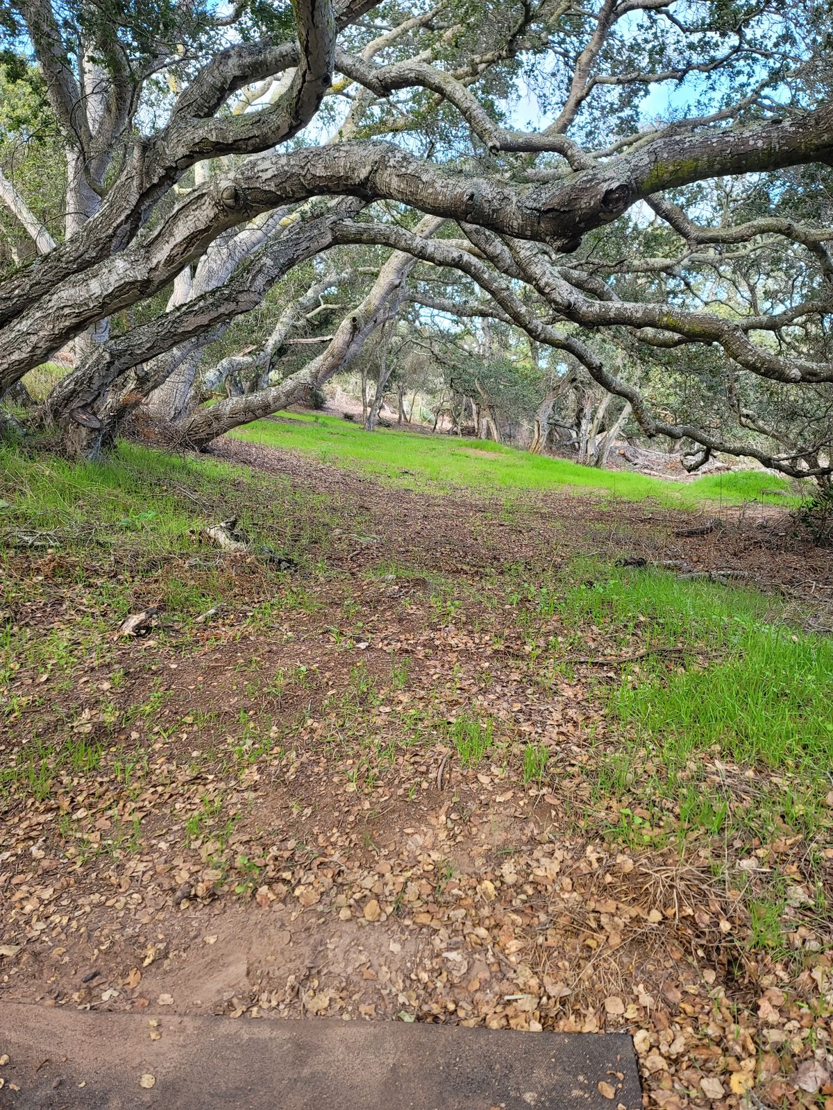 Hole 1