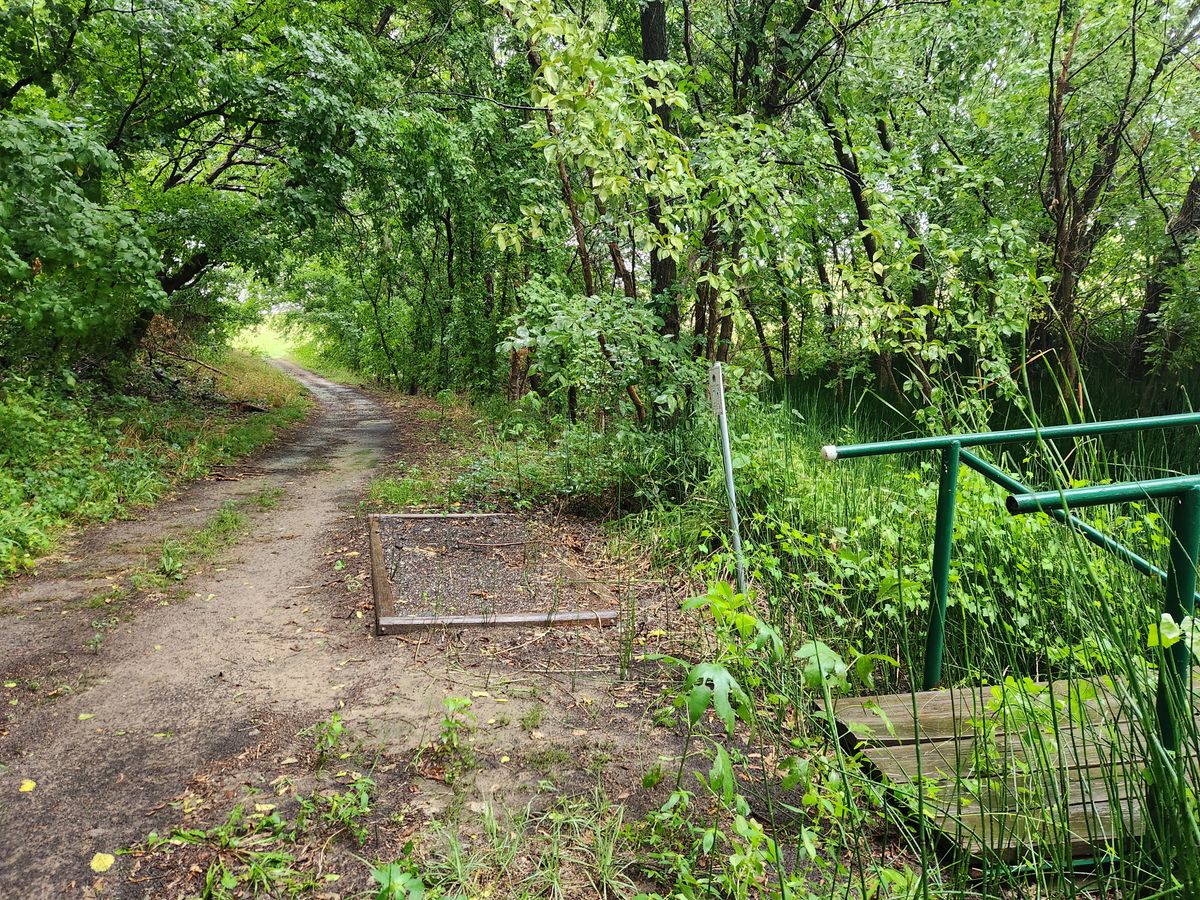 Hole 7 tee