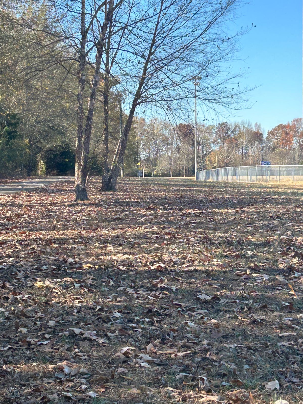 Hole 7 basket