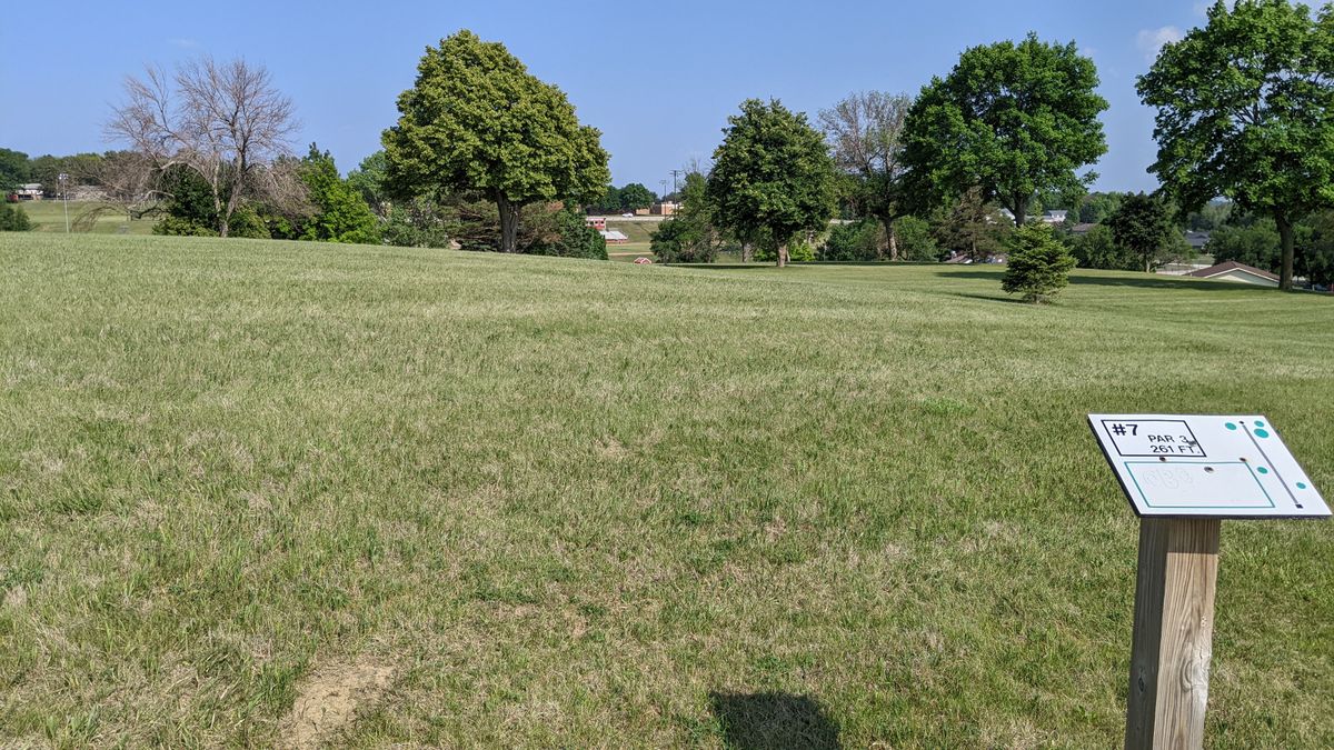 Tee #7