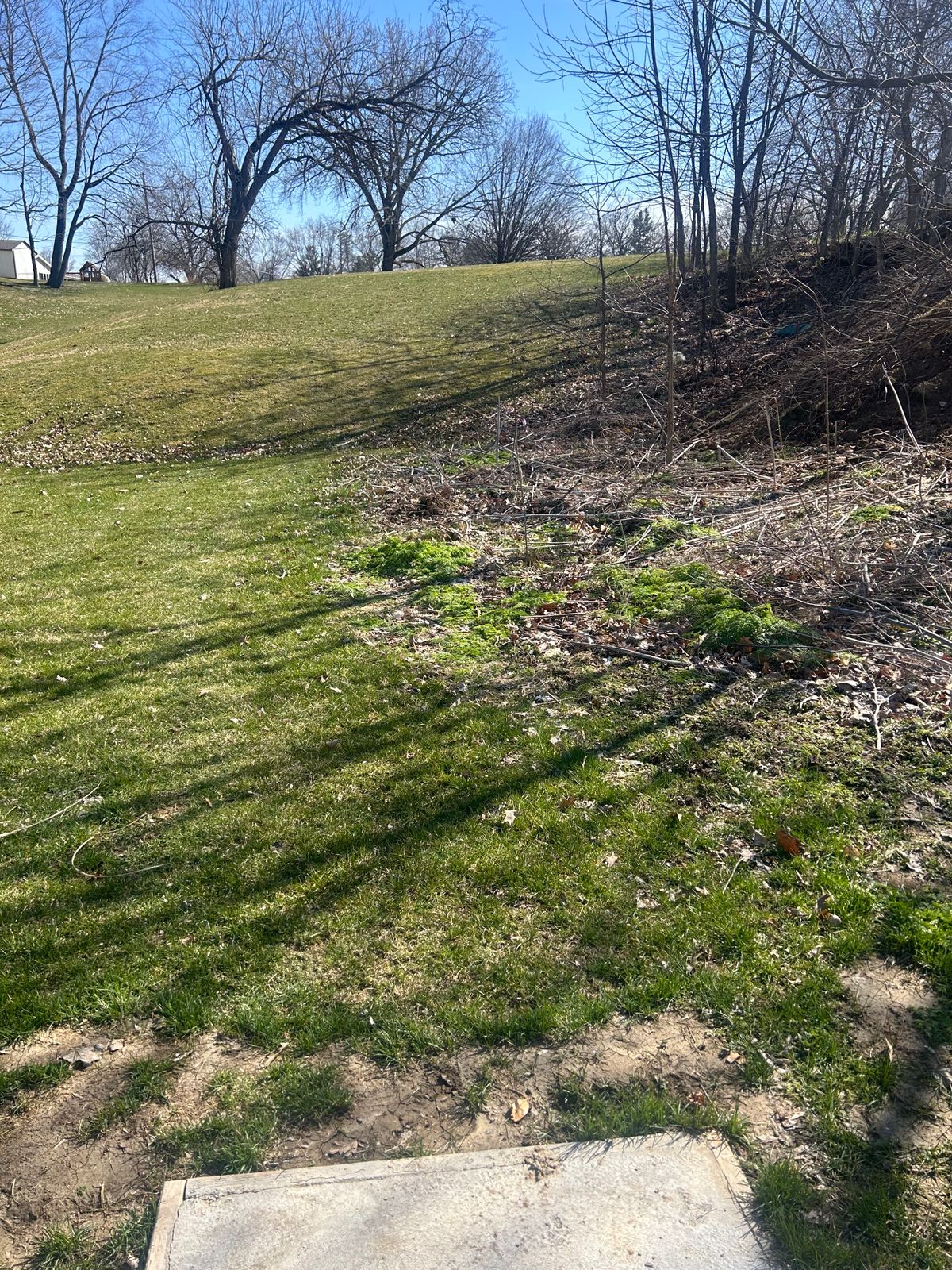 Hole 6 Fairway