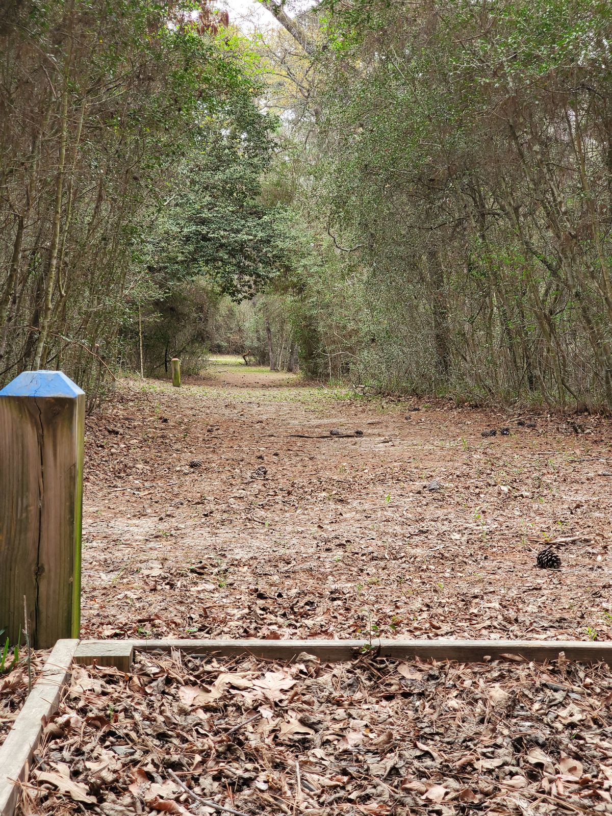 Hole 10 blue tee