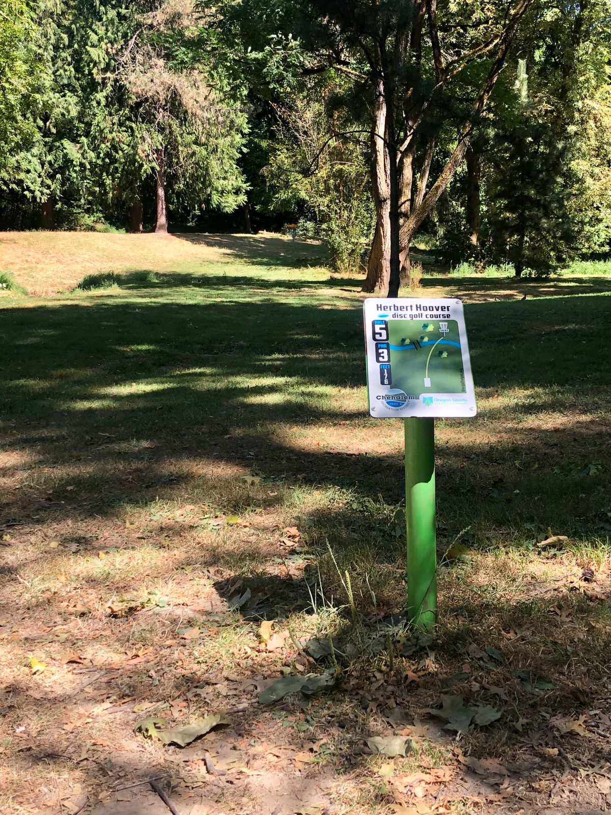 Hole 5 teepad. The basket is on the other side of the creek