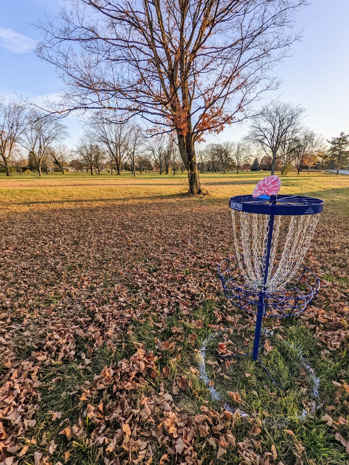 Thank you Jason and Tristin Stangel for providing this gorgeous blue Axiom Pro for hole 7!