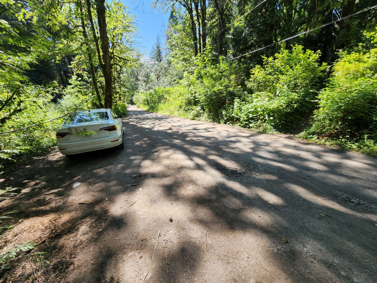 Not 100' up the dirt road. Maybe 50-60. If you reach the turnaround on the right (or the house with German Shepherds), you went too far