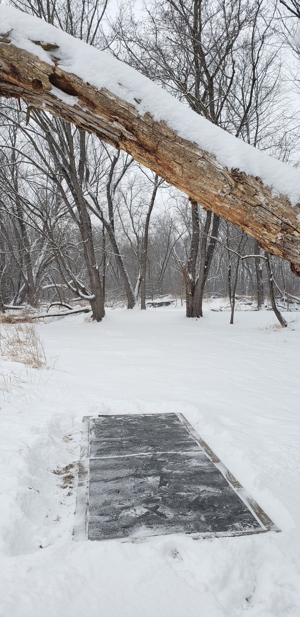 Hole 9 - Hit the gap and the basket is right there!  No leaves to slow you down in winter.  :-)