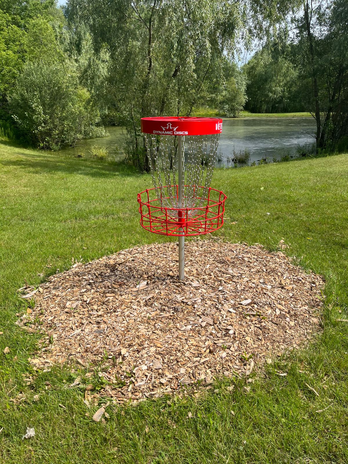 Hole #6 Basket