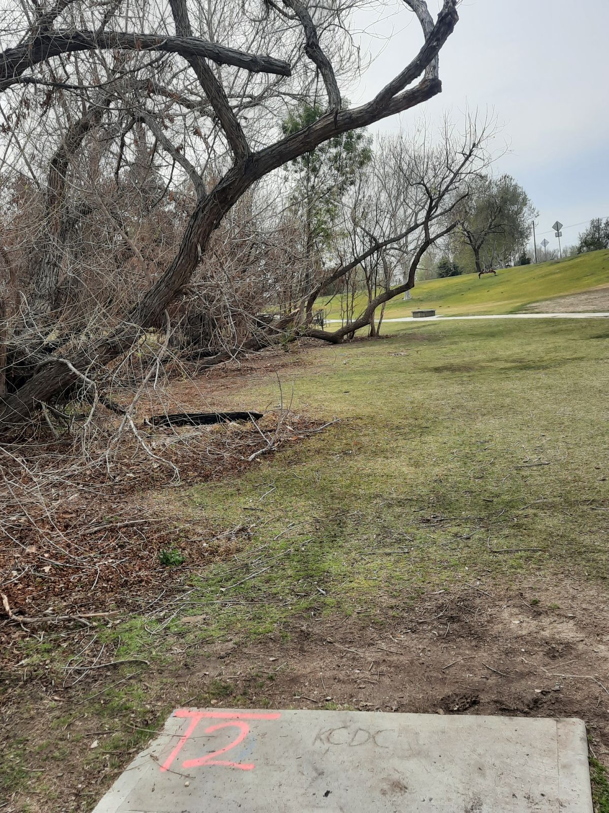 Hole 12 very challenging