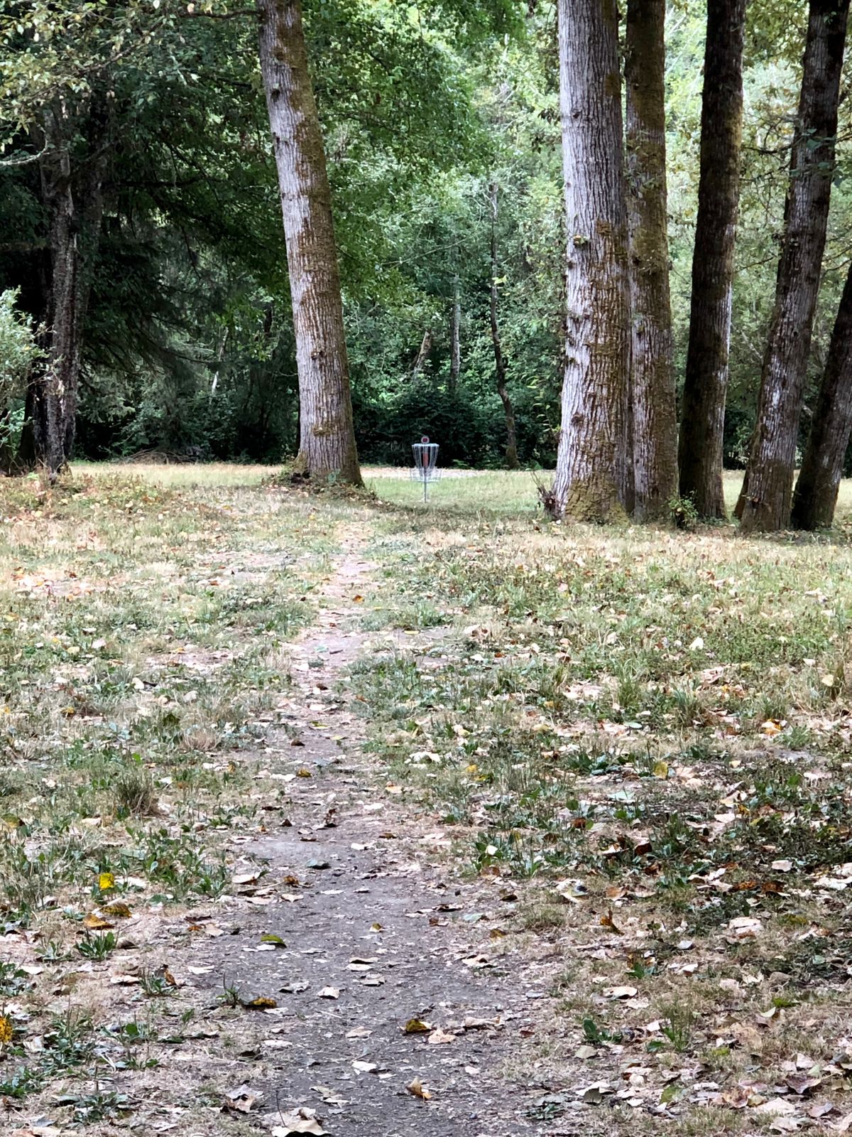 Hole 8 in short
