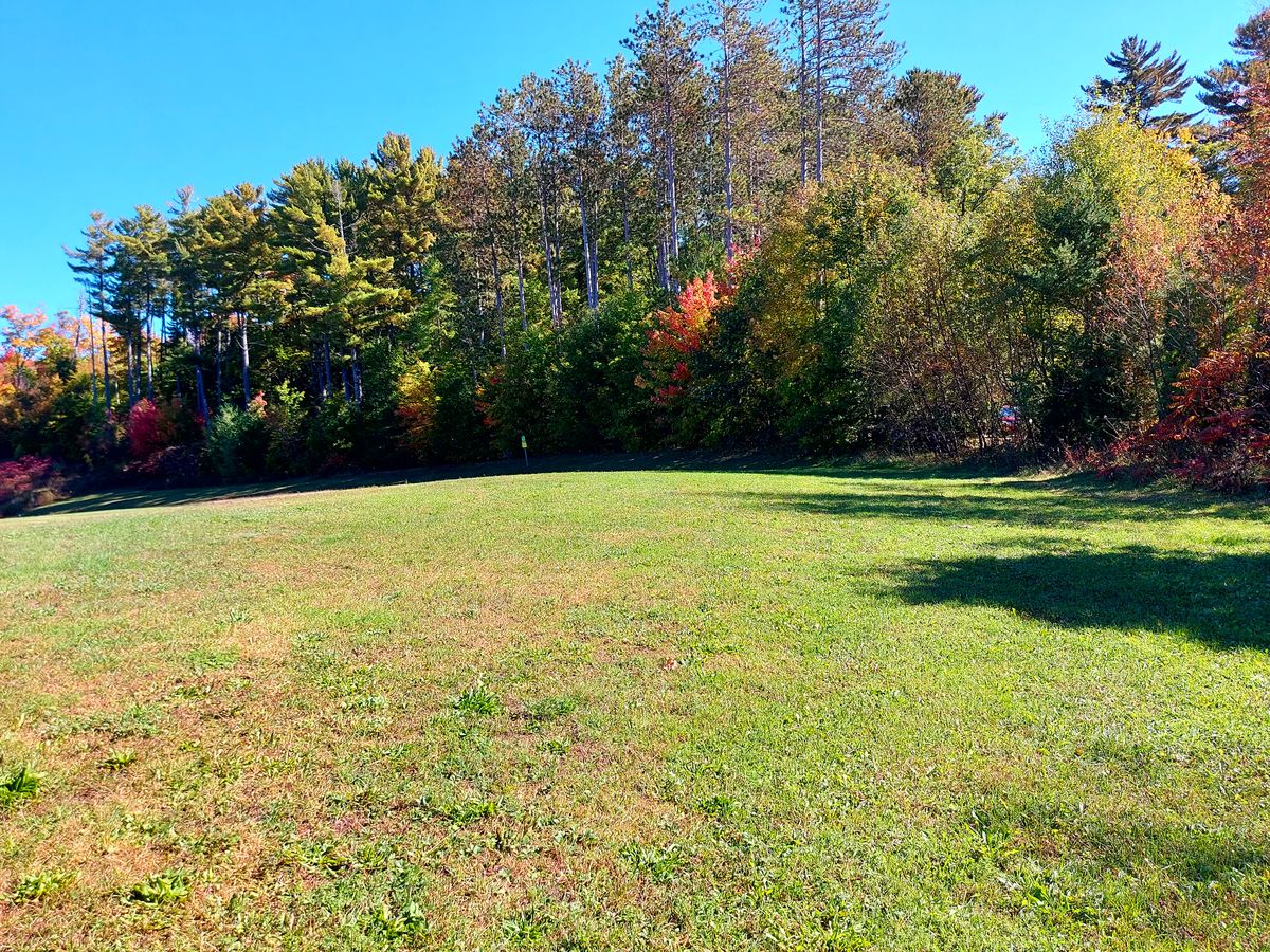 Tee pad 2 🍃 🍃 🍃 🍃 🍁 🍁 🍁 🍁