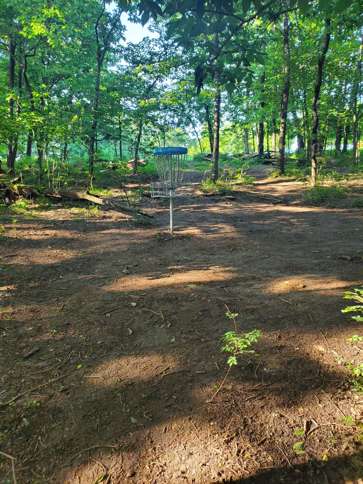 Hole 3 Basket