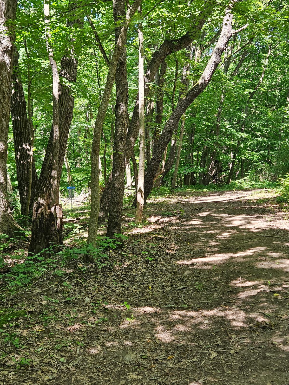 Hole 5 fairway