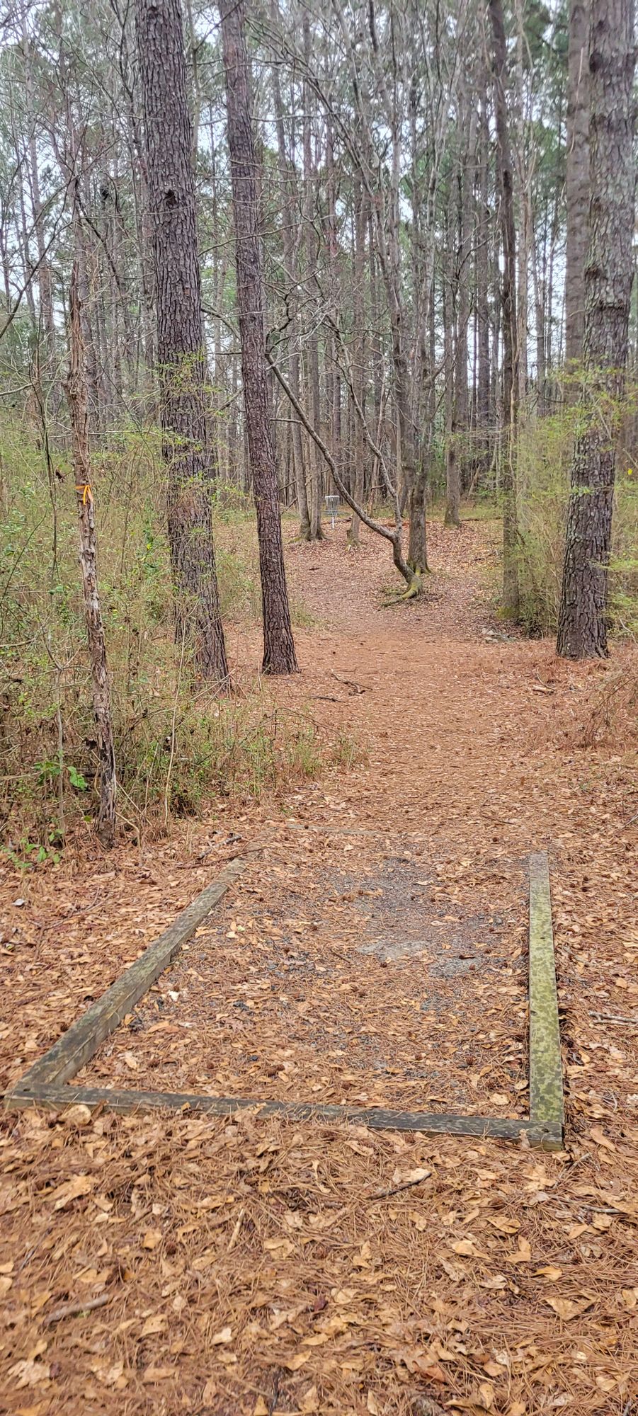 Orange Tee, Hole 3